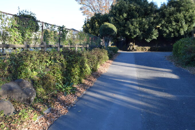 【地域貢献活動】11月22日に大胡総合運動公園の清掃活動を行いました!